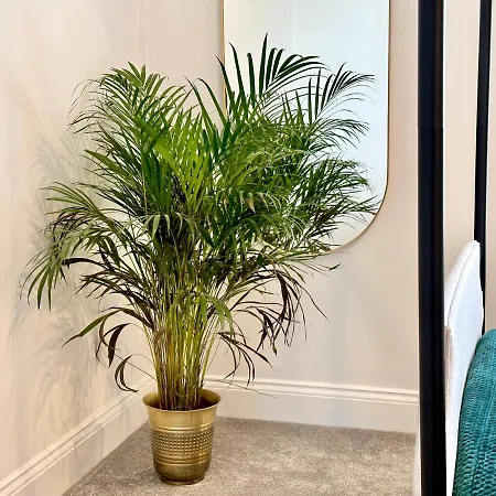 Apartment The Admirals Quarters *